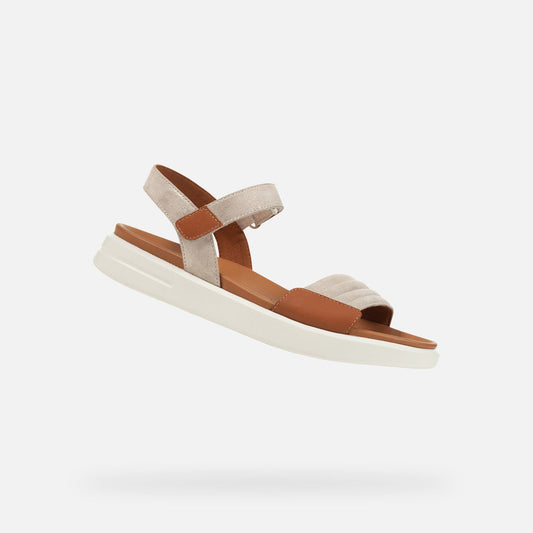 xand 2s donna