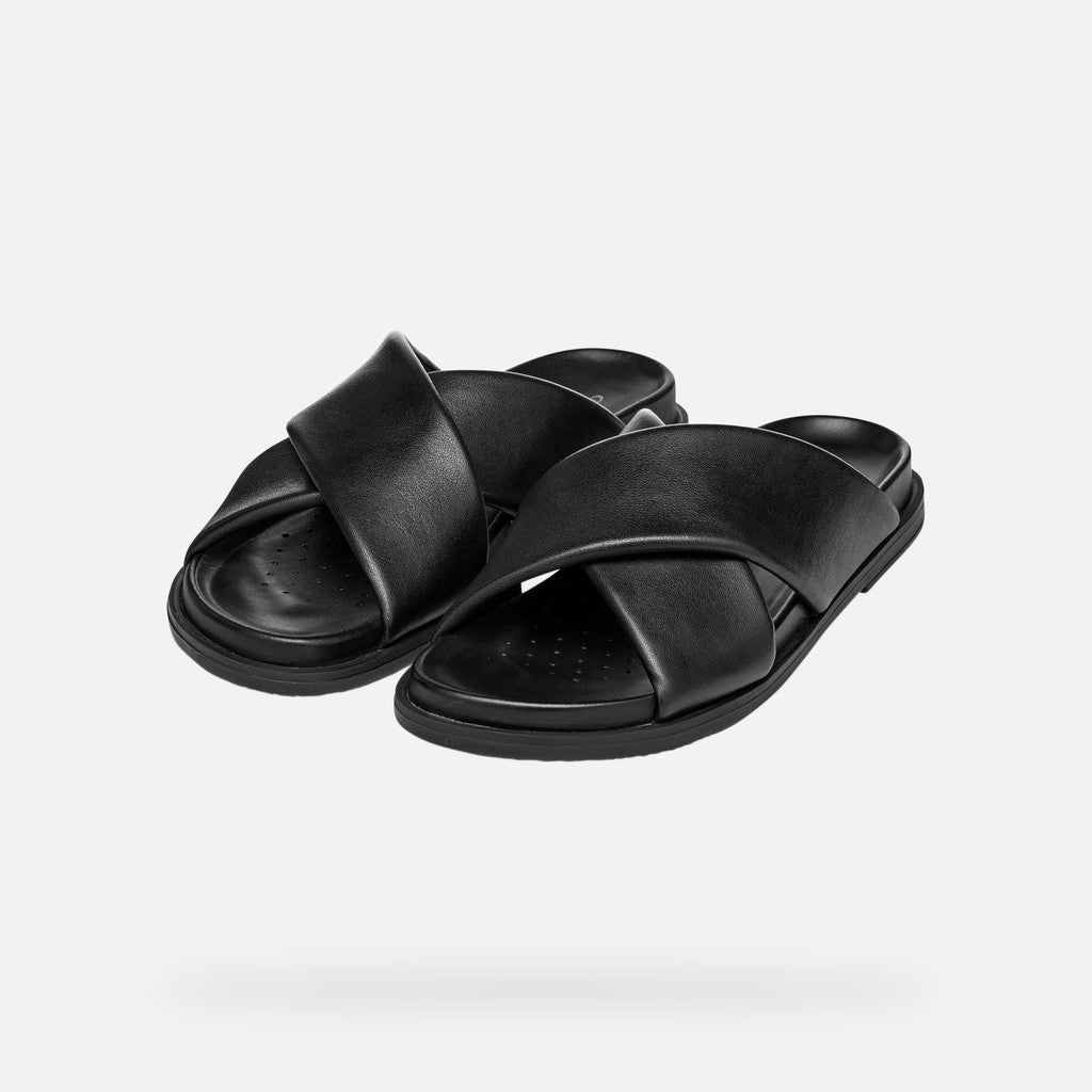 adelash donna
