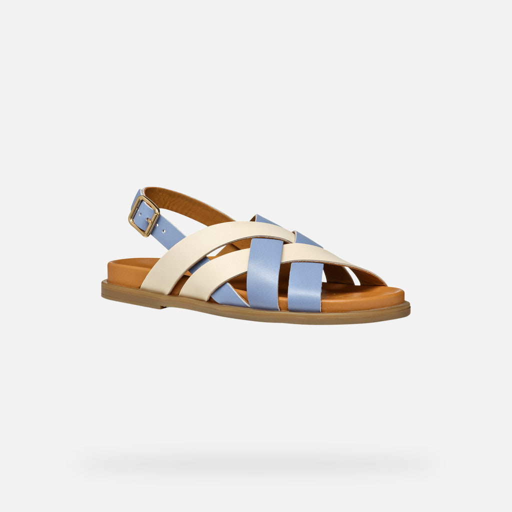 adelash donna