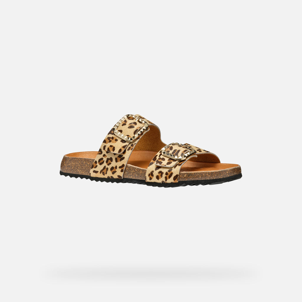 new brionia b donna