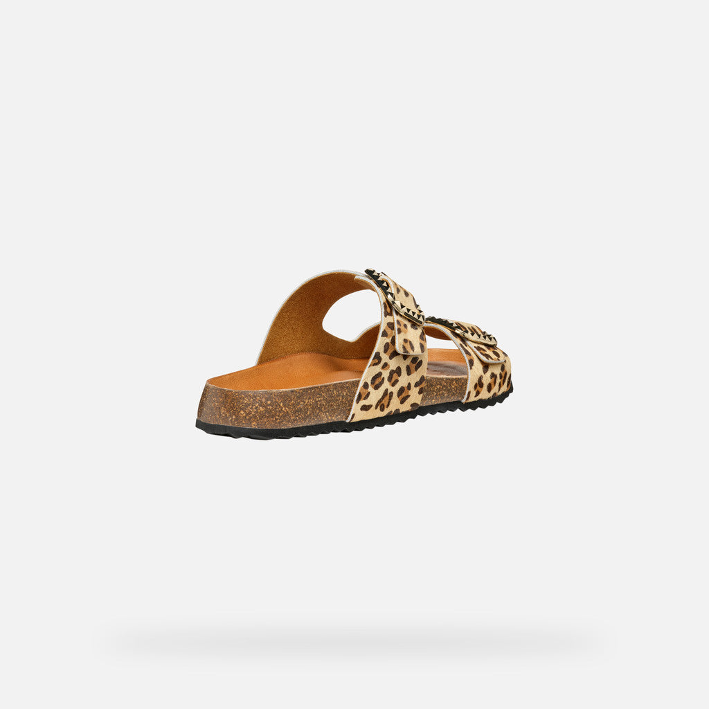 new brionia b donna