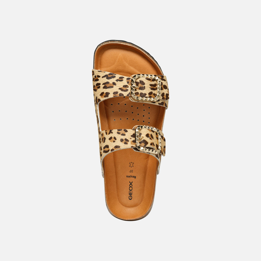 new brionia b donna